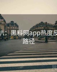 独家深扒：黑料网app热度反转传播路径
