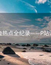 重磅社会热点全纪录——P站流量密码